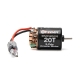 Horizon Hobby - Firma 20T Rebuildable 5 Pole Brushed Crawler Motor (SPMXSM5205)