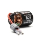 Horizon Hobby - Firma 80T Rebuildable 3 Pole Brushed Crawler Motor (SPMXSM5803)