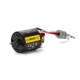 Horizon Hobby - Firma 16T Rebuildable 5 Pole Brushed Crawler Motor (SPMXSM5165)
