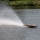 Proboat - Sonicwake V2 36" Self-Righting schwarz RTR