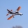 E-flite - Habu SS 50mm EDF PNP - 700mm