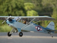 VQ Model NE-1 Cub / 2400 mm (15485)