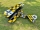 Fokker D7 DVII Dreidecker  - 2100 mm