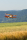 Aeronaut - Udet Flamingo biplane - 1310mm