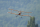 Aeronaut - Udet Flamingo biplane - 1310mm