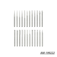 Arrowmax - AM-199222 SGS 24 Engraving bits (AM199222)
