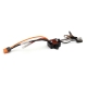 Horizon Hobby - FIRMA 70A Brushed Smart WP ESC (SPMXSE1070)