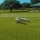 Real Flight - Evolution RC Flight Simulator Software only
