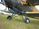 Black Horse - Antonov AN-2 - 2425mm