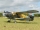 Black Horse - Antonov AN-2 - 2425mm