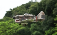 Pichler P-40 Flying Tigers / 320 mm (15803)