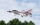Pichler F-16 Thunderbirds / 250 mm (15805)