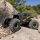 Axial - AX24 XC-1 4WS Crawler Brushed grün RTR - 1:24