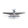 E-flite - P-51D Mustang PNP - 1200mm