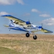 E-flite - Twin Timber 1.6m BNF Basic mit AS3X & SAFE Select -1600mm