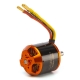 Horizon Hobby - Avian 5065-450Kv Outrunner Brushless Motor (SPMXAM4770)