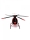FM H500 180er Helikopter coast guard