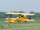 Phoenix - Tiger Moth GP/EP ARF - 1400mm