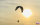 Para-RC - Paraglider PHASOR 2.3 RAST orange/blue/white