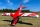 ExtremeFlight RC - Turbo Bushmaster V2 red/white 84" - 2133mm