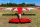 ExtremeFlight RC - Turbo Bushmaster V2 red/white 84" - 2133mm
