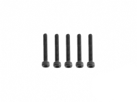 XL Power - M2x16 Socket head cap screw