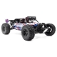 Hobbytech - Desert Buggy DR8 Brushed RTR Rot