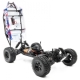 Hobbytech - Desert Buggy DR8 Brushed RTR Rot