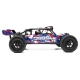 Hobbytech - Desert Buggy DR8 Brushed RTR Rot