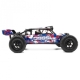 Hobbytech - Desert Buggy DR8 Brushed RTR Rot