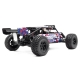 Hobbytech - Desert Buggy DR8 Brushed RTR Rot