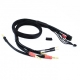 Ultimate Racing - 2 x 2S Charge Cable Lead With XT60 - 4mm &amp; 5mm Bullet Connector, 600mm