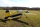 ExtremeFlight - 110" Yak 54 EXP - yellow/blue - 2790mm