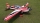 ExtremeFlight - 104" Extra 300 V2 - red/white/black - 2640mm