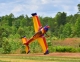ExtremeFlight - 48" Extra 300 EXP V2 -...