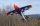 ExtremeFlight - 70" Extra 300 EXP V2 - orange/blue/white - 1770mm