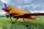 ExtremeFlight - 60" Yak 54 V2 - yellow/red 1520mm