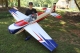 ExtremeFlight - 105.5" Slick 580 EXP -...