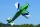 ExtremeFlight - 85" MXS - green - 2210mm