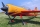 ExtremeFlight - 85" Yak 54 EXP- yellow/red - 2160mm