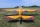 ExtremeFlight - 85" Yak 54 EXP- yellow/red - 2160mm