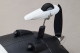 D-Power - Derbee C400 low-wing PNP - 1100mm