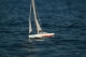 G&uuml;nther - model sailing boat Albatros