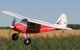 Multiplex - RR Piper PA 20 Pacer - 1150mm