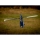 E-flite - Blade Eclipse 360 BNF Basic - 777mm