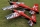 AJ Aircraft - 51" Slick 540 ARF - red/black