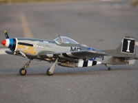 VQ Model - P-51D Mustang (Happy Jacks) - 1580mm