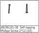 Absima - Self-tapping Phillips Screw 2*12 - Mini AMT (10...