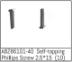 Absima - Self-tapping Phillips Screw 2.5*15 - Mini AMT...
