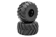 Hobbytech - Monster Truck 141/77 12mm Hex Reifen fertig...